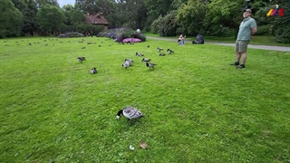 مهاجرت به استرالیا