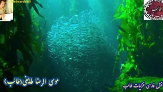 شاعر آذربایجانی | آوای عاشقی طالب آذربایجانی | شعر عهد از اشعار طالب آذربایجانی