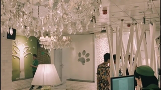 بیمارستان دامپزشکی درین