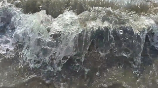 سفر به آستارا | ساحل صدف