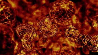 نانو اسپین الکترون(افشین رشید)