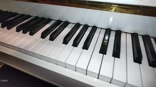 آکادمی موسیقی شهرام شکوهی