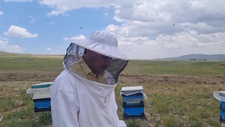 خرید عسل آویشن در کرج