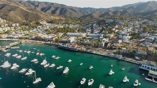 تریلر فیلم Love Under the Lemon Tree 2022