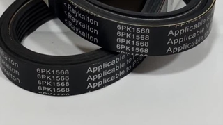 تسمه دینام 1568رانا رایکالتون آلمان