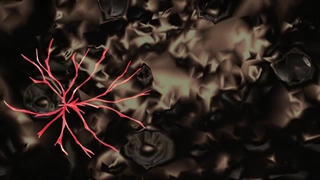 نانو ذره(افشین رشید)