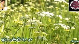 هوای عاشقی |انکار یار | اشعار طالب| آوای عاشقی شاعر