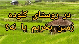 قیمت زمین در کلوده محمودآباد چقدر است؟ در کلوده زمین بخریم یا نه؟