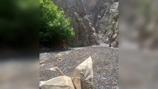 گالری اوریگامی