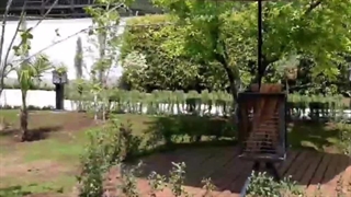 سایبان چتری