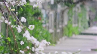 فیلم/ نطق شهدا بعد از شهادت باز می‌شود