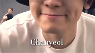 اکسو در گذر زمان