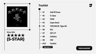 آهنگ TopLine از Stray Kids ورژن بیکلام