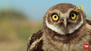 اَبَرطبیعی ؛ 2022 ؛ فصل 1 ؛ قسمت 1