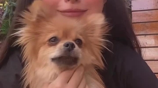 تجربه عکاسی با حیوانات