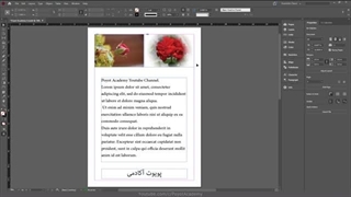 آموزش ایندیزاین از صفر تا صد [درس 40] - لیکویید پیج رول