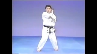 Shuto Uchi Uchi