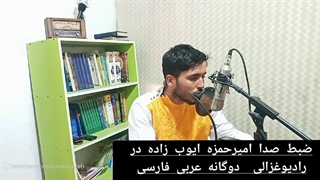امیرحمزه ایوب زاده.دوگانه )
