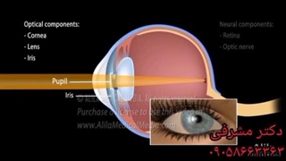 تدریس خصوصی زیست شناسی معلم خصوصی زیست کنکور (09058663363)