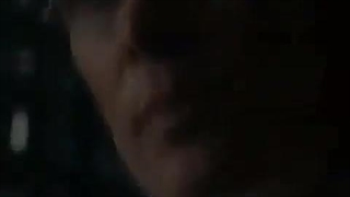 تــامی شــلــبی