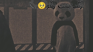 کلیپ زیبا