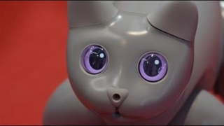 عجایب رباتیک رونمایی شد: کنفرانس ربات درون جهانی