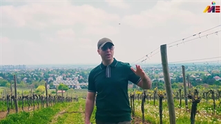 ⭐ نکات طلایی دریافت اقامت اروپا با اجاره ملک | موسسه ملکپور