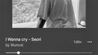 کاور آهنگ i wanna cry از seomi توسط wumuti