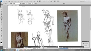 Analytical Figure Drawing Michael Hampton Week - 5  Torso (2nd part)