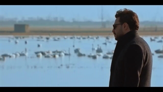 فصل دوم_سریال جذاب زخم کاری با بازی جواد عزتی در کانال روبیکا