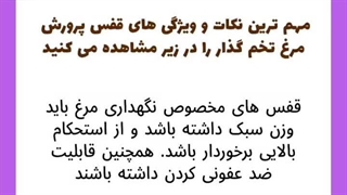 ویژگی های قفس مرغ تخم گذار خوب