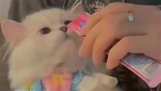 کیوتییییییی