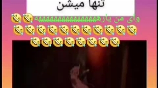 طنز سگ های ولگرد بانگو