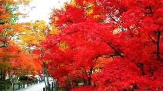 عبدالحسین مختاباد - شبانگاهان