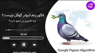 الگوریتم کبوتر گوگل چیست؟ تاثیر آن بر سئو چیست؟