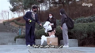 قسمت6"ششم"برنامه داستان دینگو(Dingo Story)باحضور دی ایت(the8)از seventeen +زیرنویس فارسی چسبیده