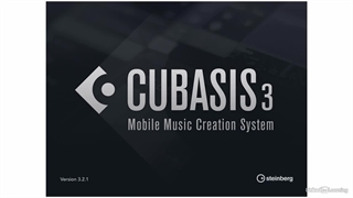 آموزش یادگیری کیوبیسیس - گرافیسم