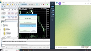 معرفی اکسپرت قاصدک (اتصال متاتریدر۵ به تلگرام)