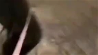 ۹ماه قراره همینطوری بگذره عالیه♡