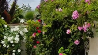 خرید ویلا سه خوابه در چمستان - ویلا مدرن