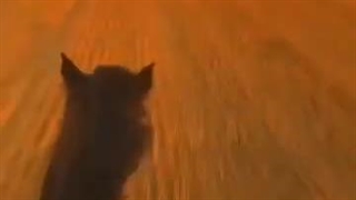 واقعا عنوان انقد مهمه؟؟؟(calisto) 0^0کالیستو ریگولوس!؟