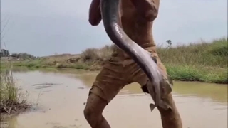 عجیبترین ماهیگیریی که تا بحال دیدم همینطور بزرگترین ماهی که بطور دستی گرفته شده