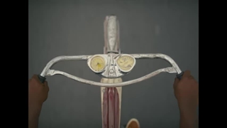 تریلر فیلم پسران نیکل