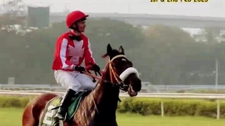 Best Horse Racing Betting App in India | Indian Derby 2025
