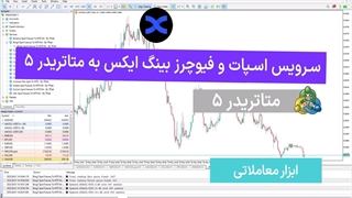 سرویس اسپات و فیوچرز بینگ ایکس به متاتریدر ۵ – [تریدینگ فایندر]