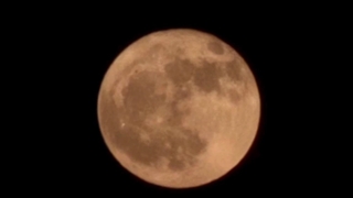 <<<Apocalypse- | My lovely moon-