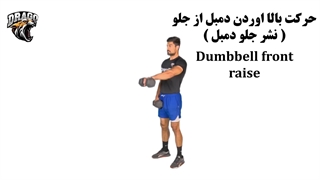 آموزش نشر جلو دمبل | فرم صحیح، نکات حرفه‌ای و برنامه تمرینی سرشانه